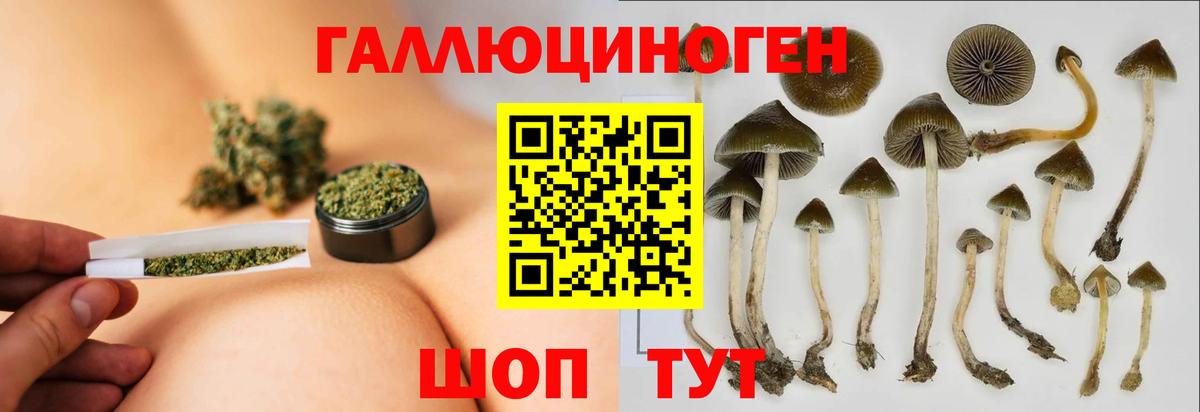 Галлюциногенные грибы GOLDEN TEACHER Армавир